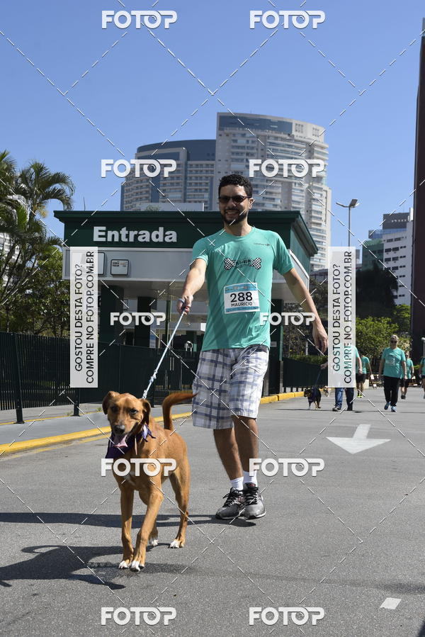 Buy your photos of the event2� Pet Run Shopping Eldorado  on Fotop