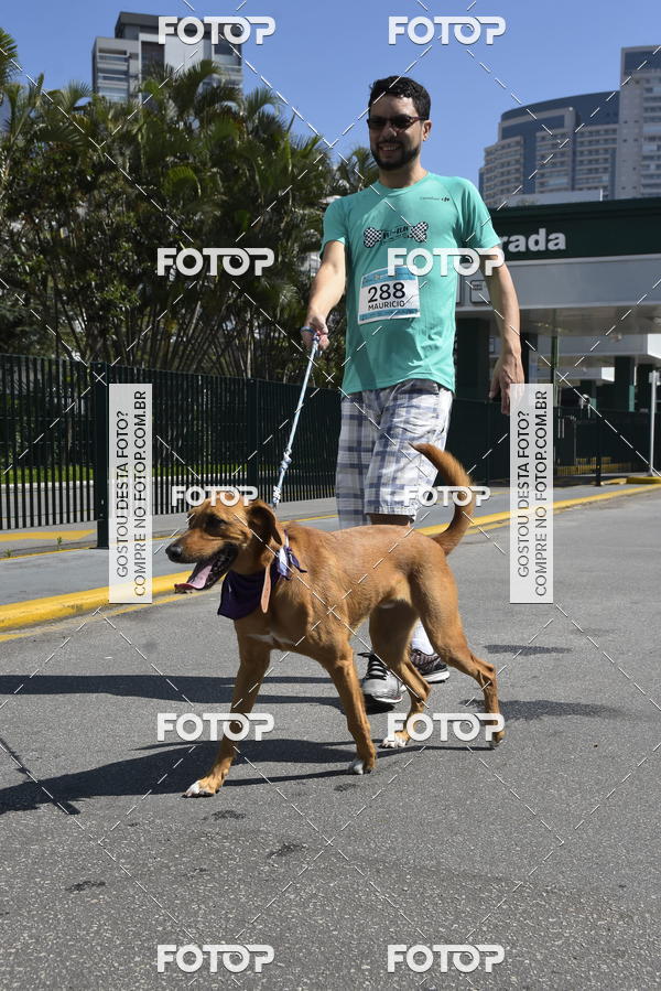 Buy your photos of the event2� Pet Run Shopping Eldorado  on Fotop