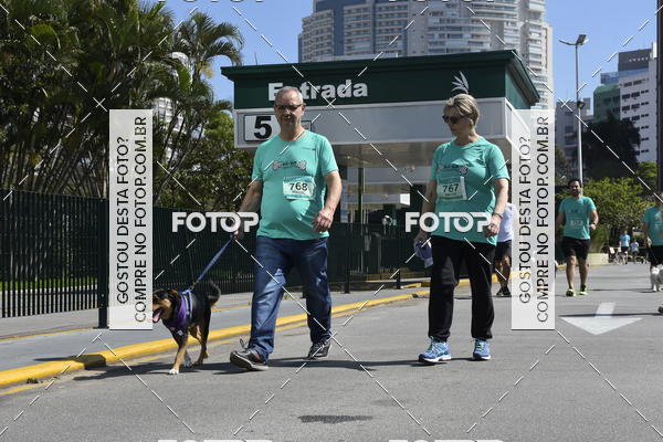 Buy your photos of the event2� Pet Run Shopping Eldorado  on Fotop