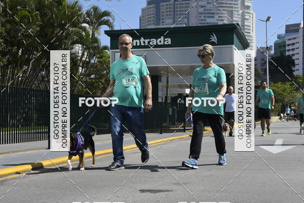 Buy your photos of the event2� Pet Run Shopping Eldorado  on Fotop