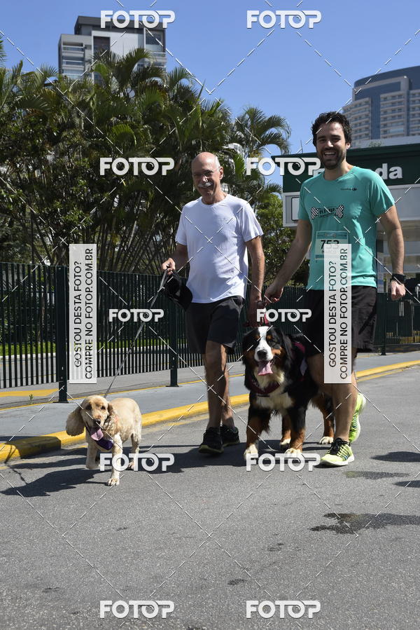 Buy your photos of the event2� Pet Run Shopping Eldorado  on Fotop