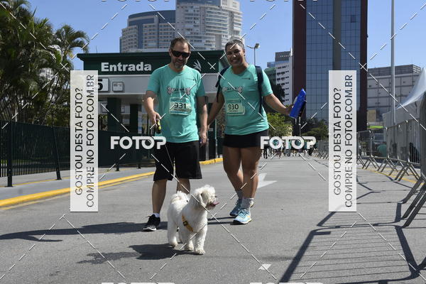 Buy your photos of the event2� Pet Run Shopping Eldorado  on Fotop