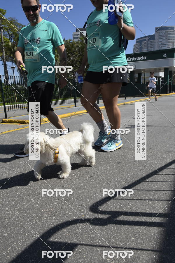 Buy your photos of the event2� Pet Run Shopping Eldorado  on Fotop