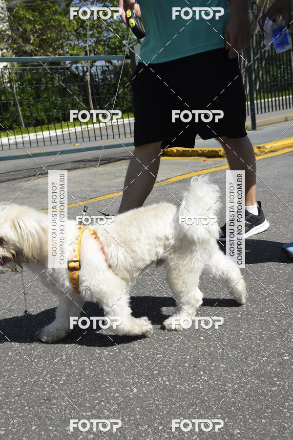 Buy your photos of the event2� Pet Run Shopping Eldorado  on Fotop