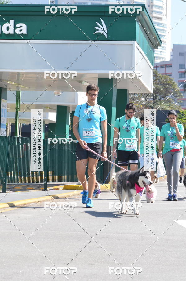 Buy your photos of the event2� Pet Run Shopping Eldorado  on Fotop