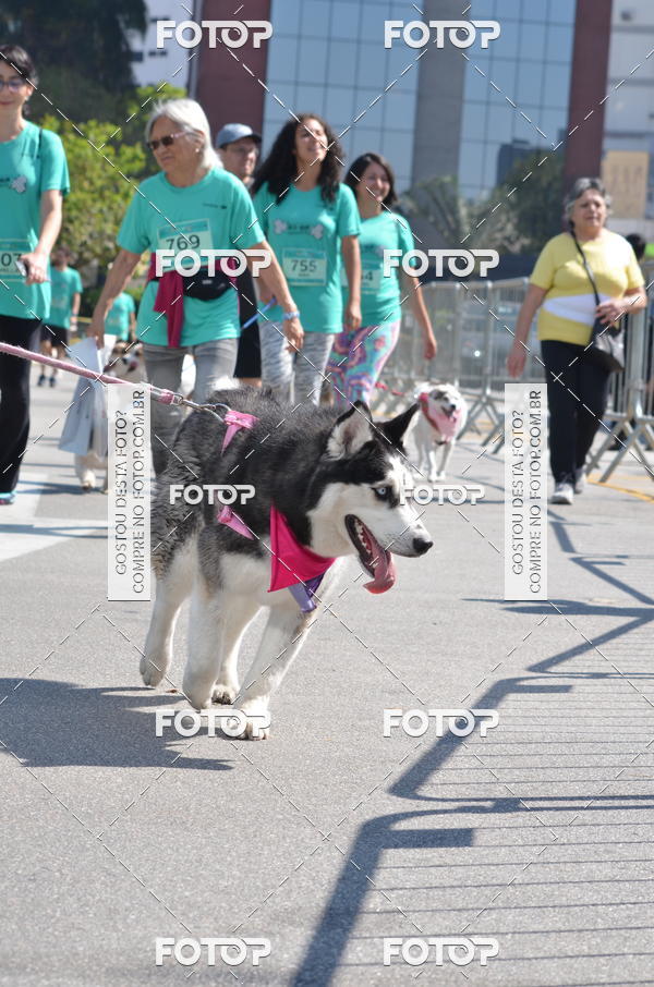 Buy your photos of the event2� Pet Run Shopping Eldorado  on Fotop