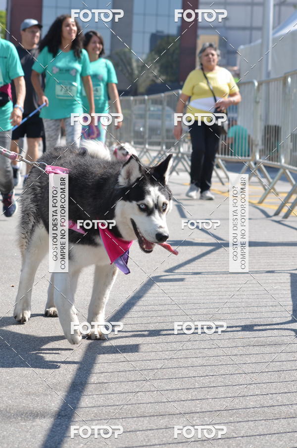 Buy your photos of the event2� Pet Run Shopping Eldorado  on Fotop
