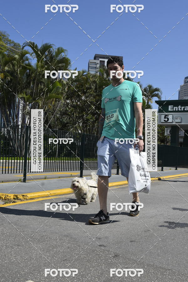 Buy your photos of the event2� Pet Run Shopping Eldorado  on Fotop