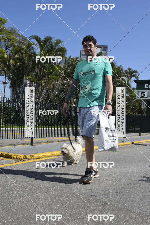 Buy your photos of the event2� Pet Run Shopping Eldorado  on Fotop