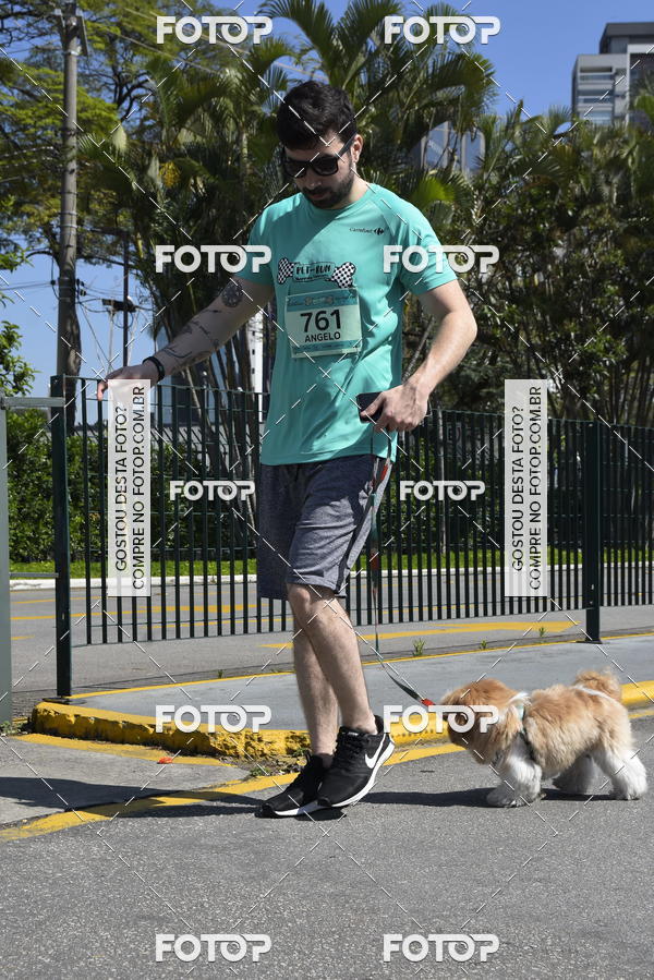 Buy your photos of the event2� Pet Run Shopping Eldorado  on Fotop
