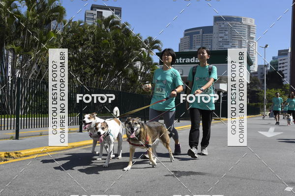 Buy your photos of the event2� Pet Run Shopping Eldorado  on Fotop
