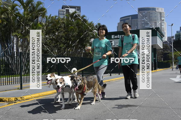 Buy your photos of the event2� Pet Run Shopping Eldorado  on Fotop