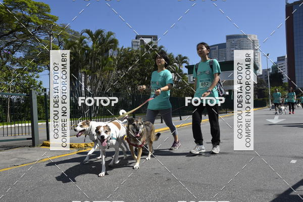 Buy your photos of the event2� Pet Run Shopping Eldorado  on Fotop