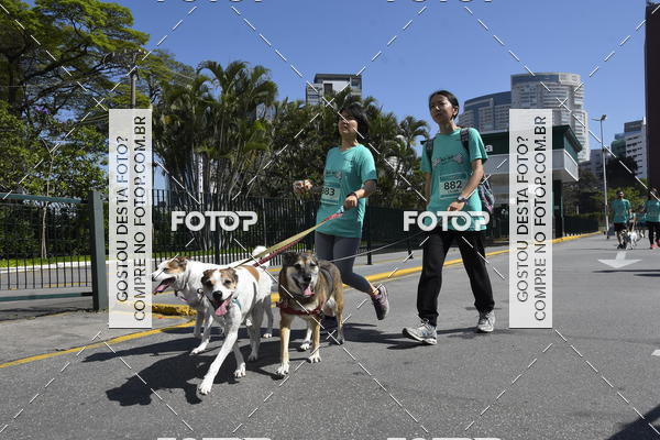 Buy your photos of the event2� Pet Run Shopping Eldorado  on Fotop