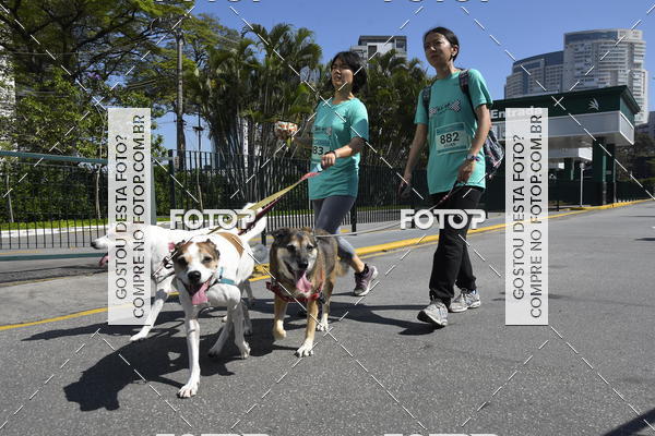 Buy your photos of the event2� Pet Run Shopping Eldorado  on Fotop