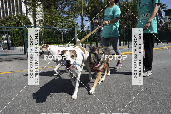 Buy your photos of the event2� Pet Run Shopping Eldorado  on Fotop