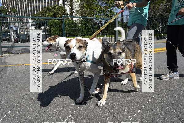 Buy your photos of the event2� Pet Run Shopping Eldorado  on Fotop