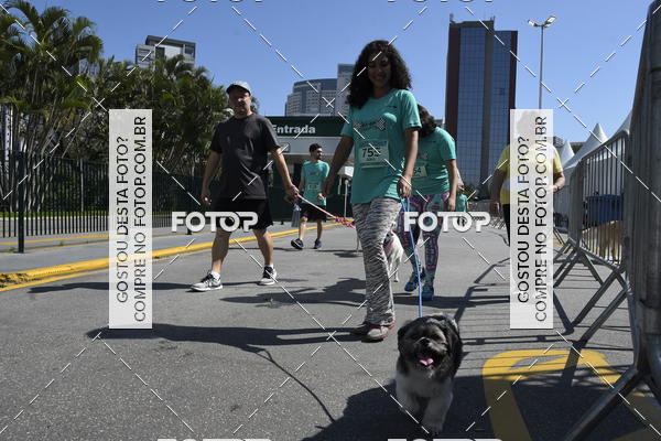 Buy your photos of the event2� Pet Run Shopping Eldorado  on Fotop