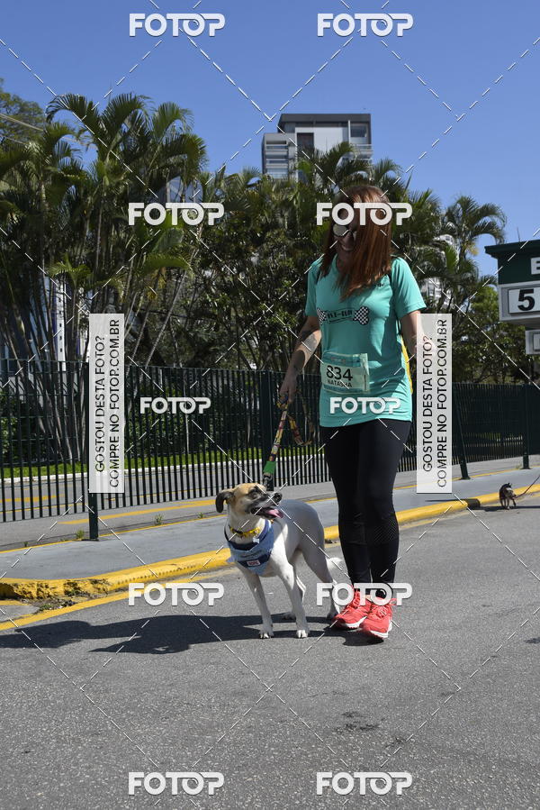 Buy your photos of the event2� Pet Run Shopping Eldorado  on Fotop