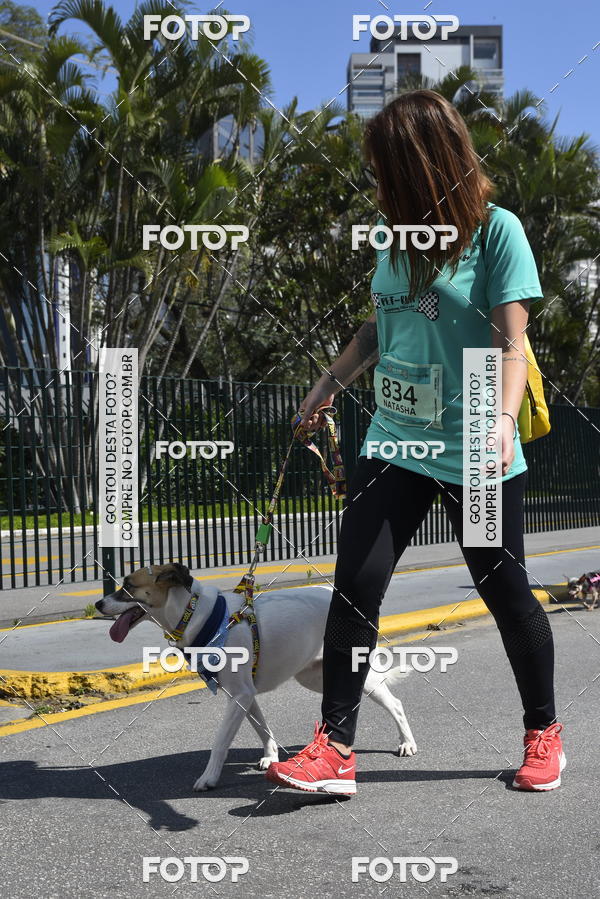 Buy your photos of the event2� Pet Run Shopping Eldorado  on Fotop