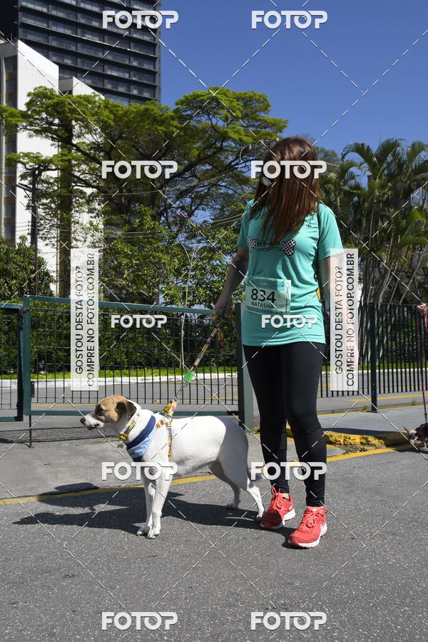 Buy your photos of the event2� Pet Run Shopping Eldorado  on Fotop