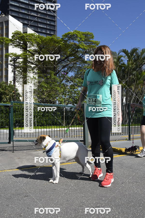 Buy your photos of the event2� Pet Run Shopping Eldorado  on Fotop