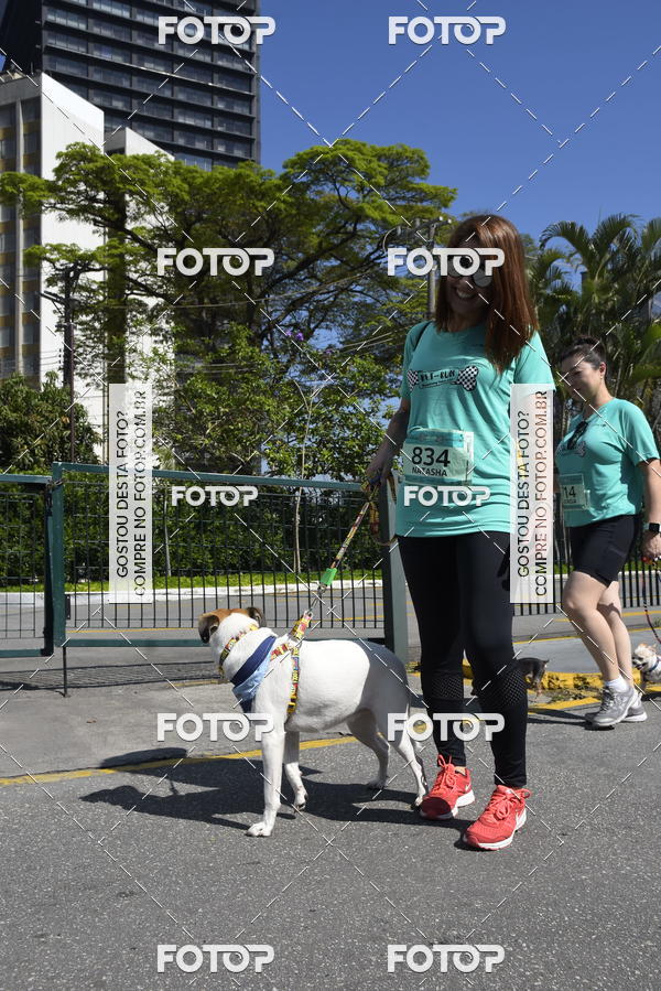 Buy your photos of the event2� Pet Run Shopping Eldorado  on Fotop