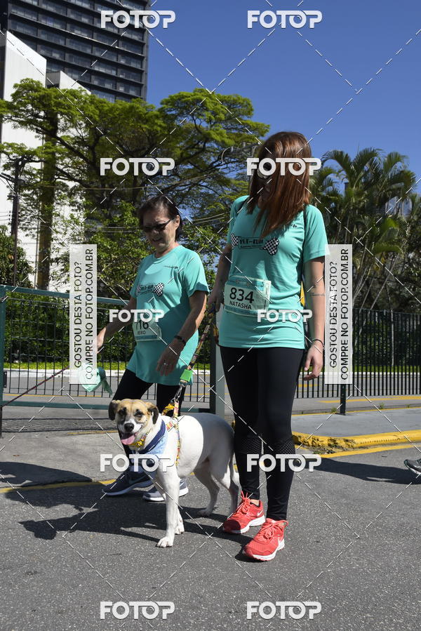 Buy your photos of the event2� Pet Run Shopping Eldorado  on Fotop