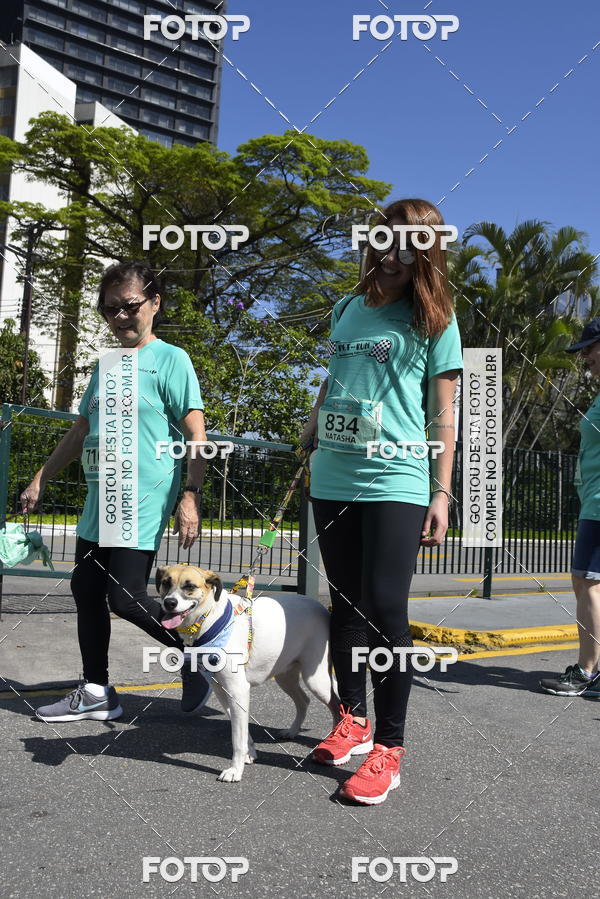Buy your photos of the event2� Pet Run Shopping Eldorado  on Fotop