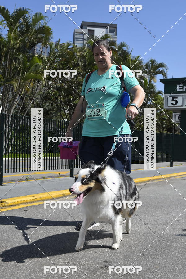 Buy your photos of the event2� Pet Run Shopping Eldorado  on Fotop