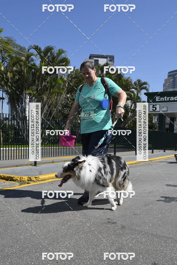 Buy your photos of the event2� Pet Run Shopping Eldorado  on Fotop