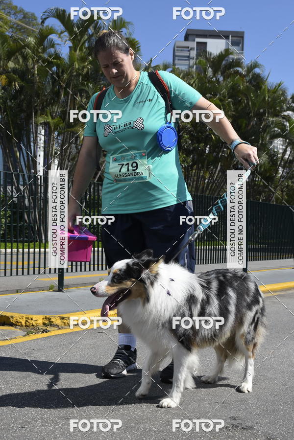 Buy your photos of the event2� Pet Run Shopping Eldorado  on Fotop