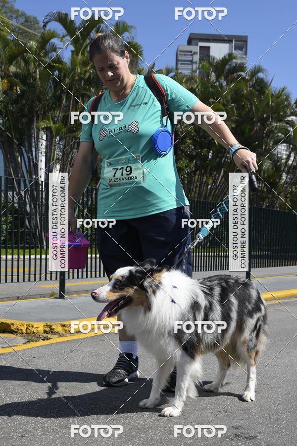Buy your photos of the event2� Pet Run Shopping Eldorado  on Fotop