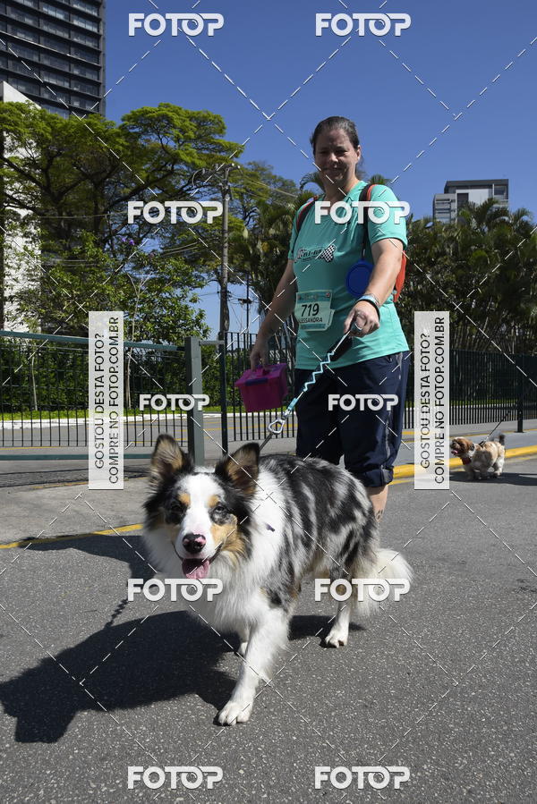 Buy your photos of the event2� Pet Run Shopping Eldorado  on Fotop