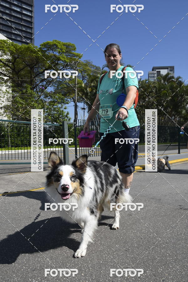 Buy your photos of the event2� Pet Run Shopping Eldorado  on Fotop