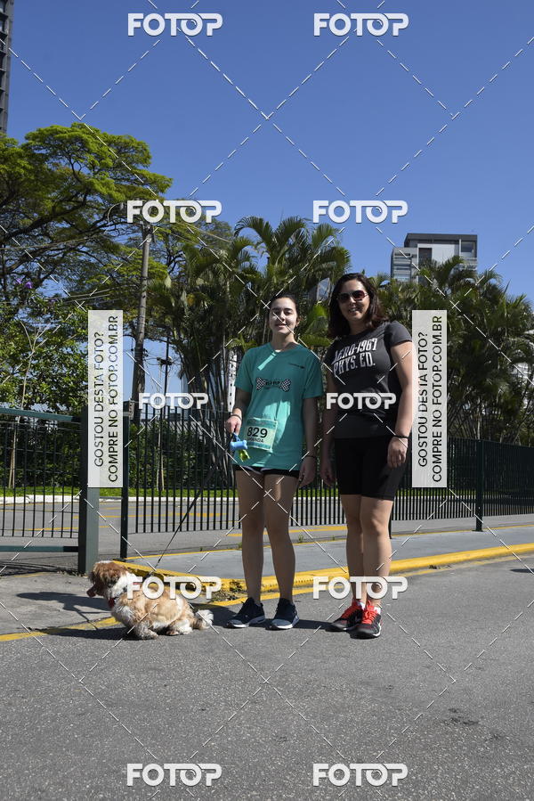 Buy your photos of the event2� Pet Run Shopping Eldorado  on Fotop