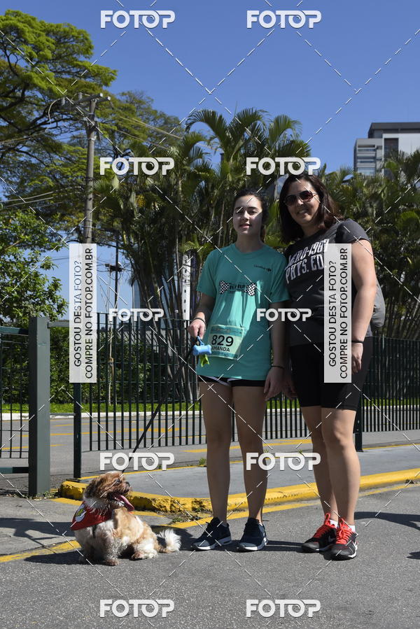Buy your photos of the event2� Pet Run Shopping Eldorado  on Fotop
