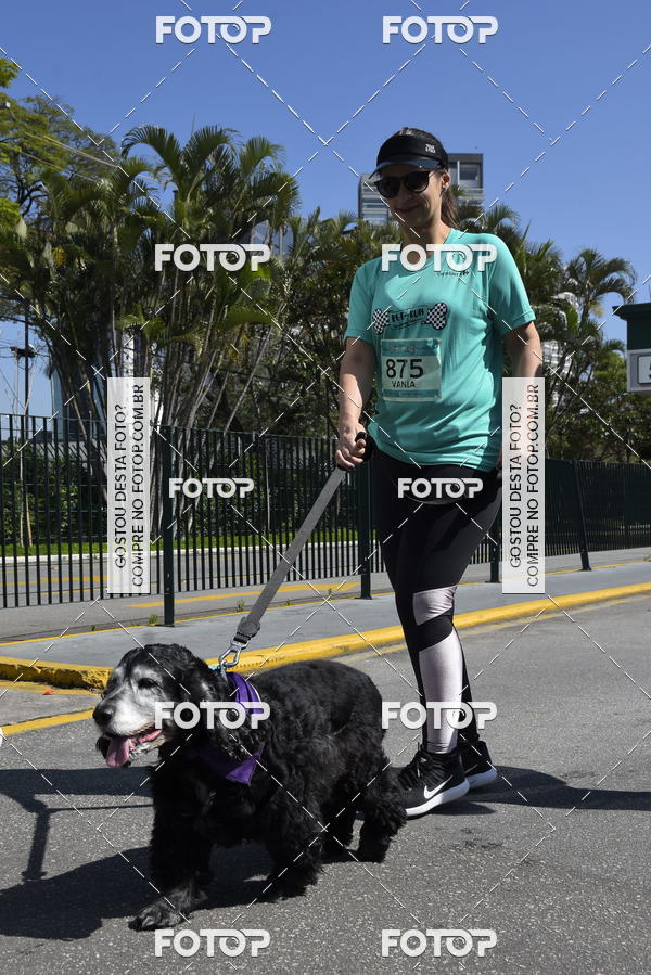 Buy your photos of the event2� Pet Run Shopping Eldorado  on Fotop