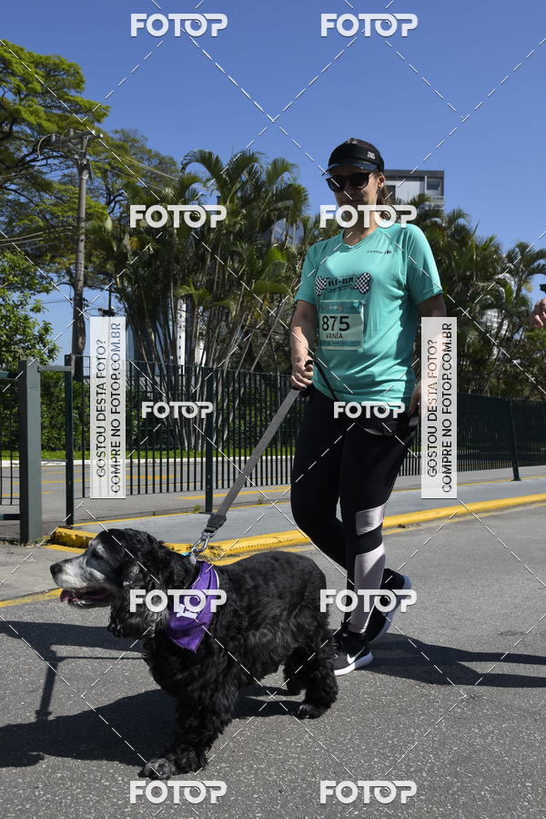 Buy your photos of the event2� Pet Run Shopping Eldorado  on Fotop