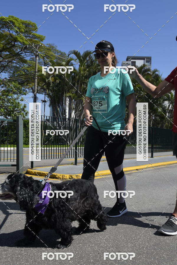 Buy your photos of the event2� Pet Run Shopping Eldorado  on Fotop