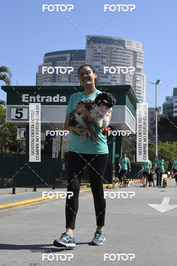 Buy your photos of the event2� Pet Run Shopping Eldorado  on Fotop