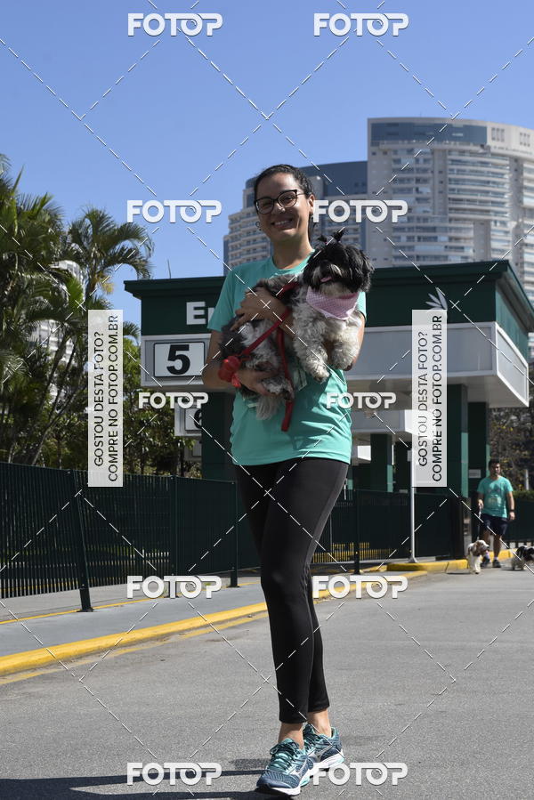 Buy your photos of the event2� Pet Run Shopping Eldorado  on Fotop