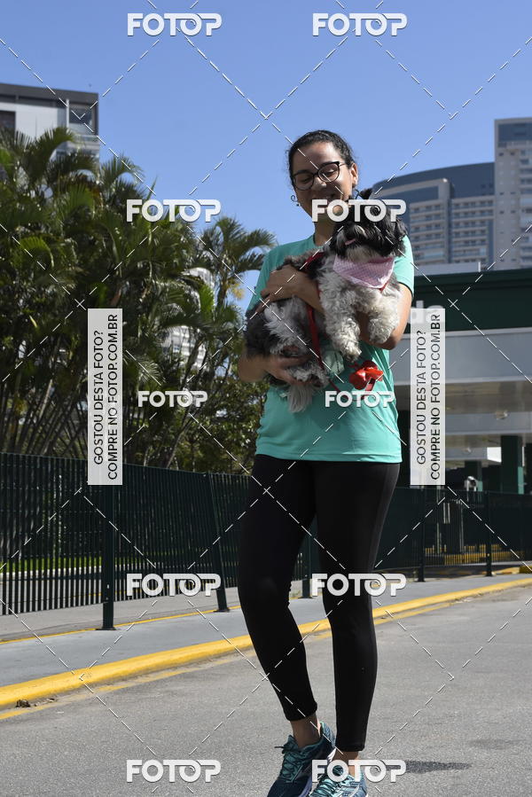 Buy your photos of the event2� Pet Run Shopping Eldorado  on Fotop