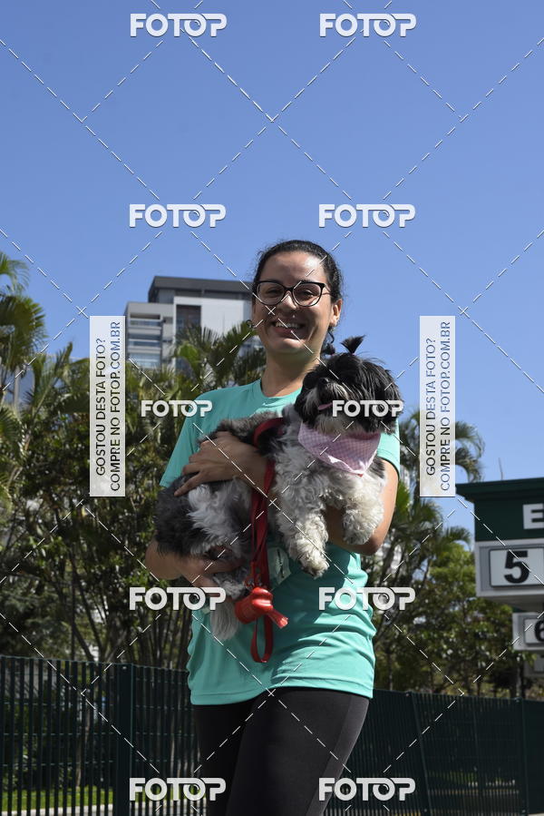Buy your photos of the event2� Pet Run Shopping Eldorado  on Fotop