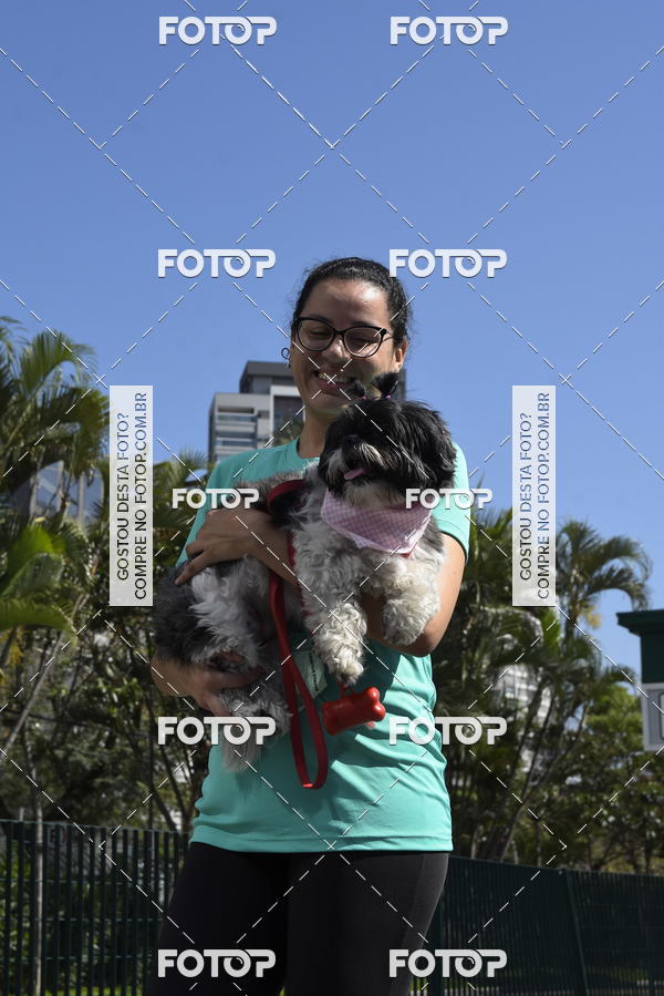 Buy your photos of the event2� Pet Run Shopping Eldorado  on Fotop