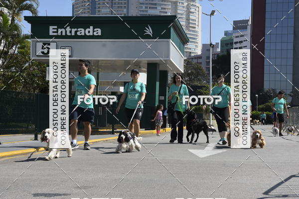 Buy your photos of the event2� Pet Run Shopping Eldorado  on Fotop