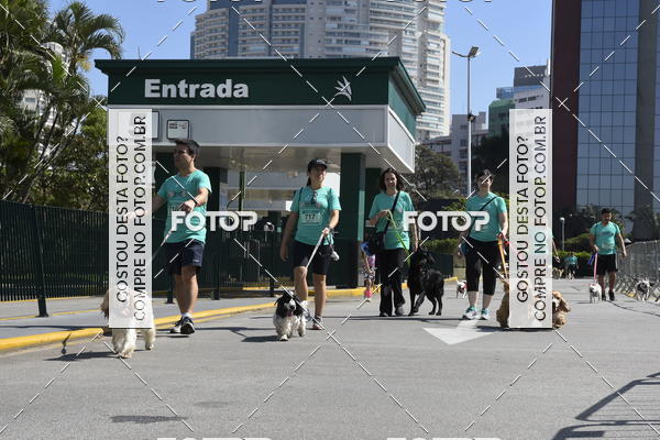 Buy your photos of the event2� Pet Run Shopping Eldorado  on Fotop
