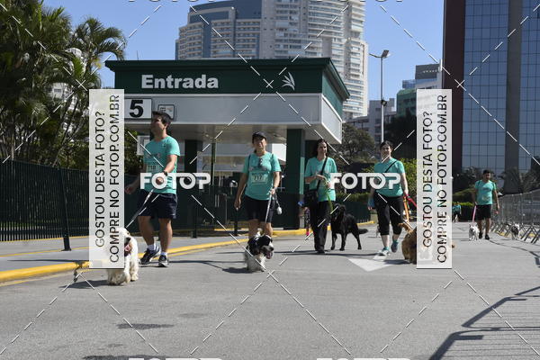 Buy your photos of the event2� Pet Run Shopping Eldorado  on Fotop