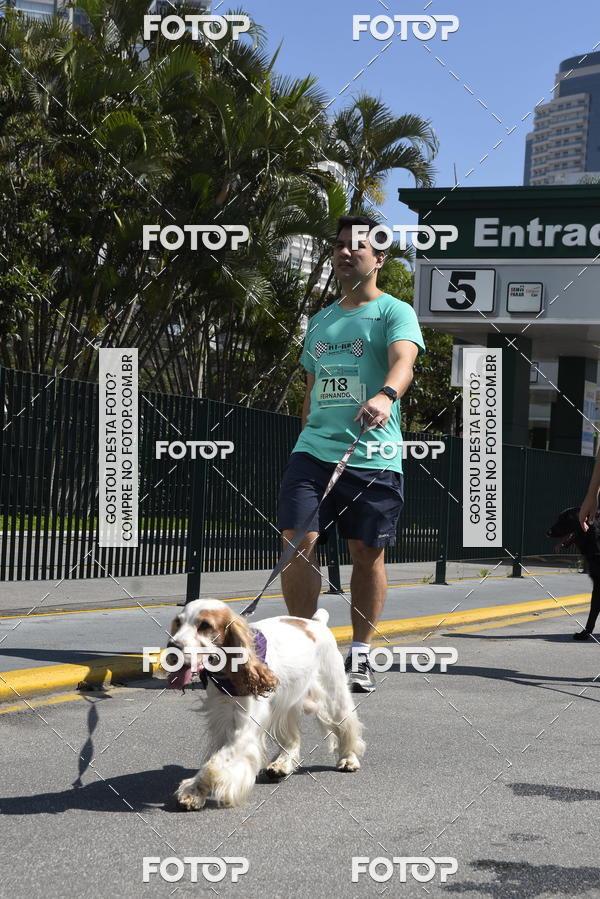 Buy your photos of the event2� Pet Run Shopping Eldorado  on Fotop