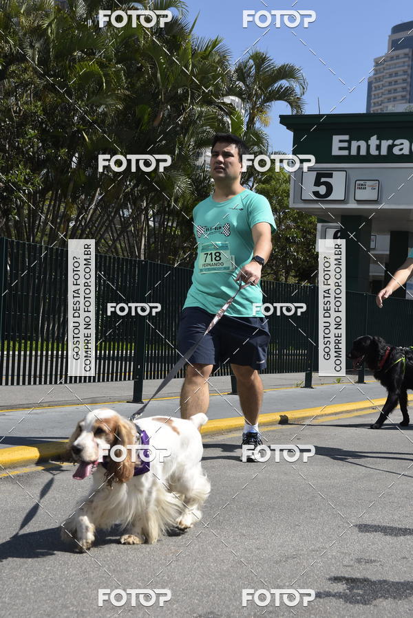 Buy your photos of the event2� Pet Run Shopping Eldorado  on Fotop
